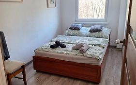 Mała dziupla